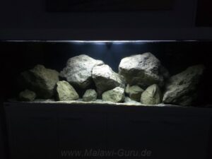 648-Liter-Mbuna-Felszone