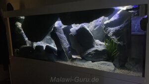 Mbuna Aquarium 700 Liter
