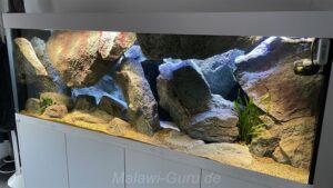 Mbuna Aquarium 700 Liter