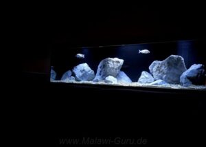 756 Liter-Nonmbuna Übergangszone