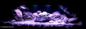 792 Liter Becken mit Nonmbuna
