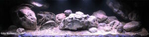 792 Liter Becken mit Nonmbuna