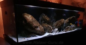 840 Liter Malawisee Aquarium