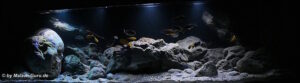 792 Liter Becken mit Nonmbuna