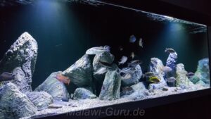 980 Liter Nonmbuna Aquarium