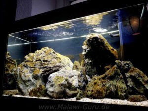 126 Liter Aufzuchtbecken