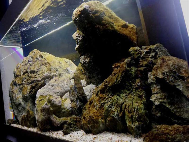 126 Liter Aufzuchtbecken