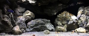 Malawisee Aquarium mit 718 Litern 718 Liter Malawisee Becken