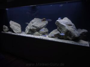 648 Liter Nonmbuna-Aquarium