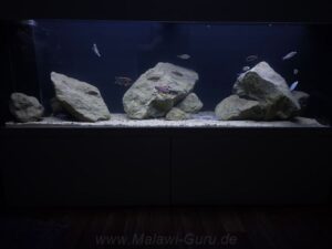 648 Liter Nonmbuna-Aquarium