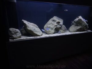 648 Liter Nonmbuna-Aquarium
