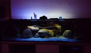 1200 Liter Nonmbuna Aquarium