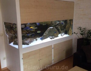 1368 Liter Malawisee Räuberbecken