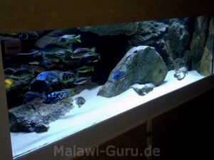1368 Liter Malawisee Räuberbecken 1368 Liter Malawisee Räuberbecken