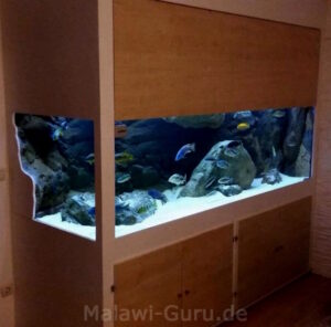 1368 Liter Malawisee Räuberbecken