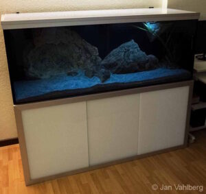 576 L Lethrinops-Becken