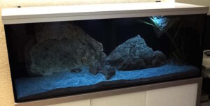 576‑Liter-Aquarium 576 L Lethrinops-Becken