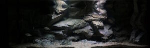 576‑Liter-Aquarium 576 Liter Nonmbuna-Sandzone