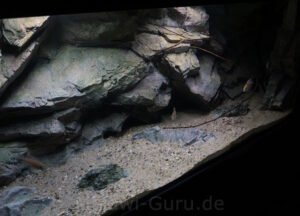 576 Liter Nonmbuna-Sandzone