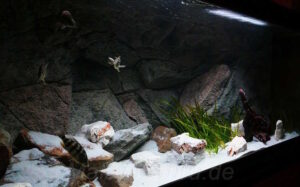 402 Liter Nonmbuna Becken 402 Liter Nonmbuna Becken