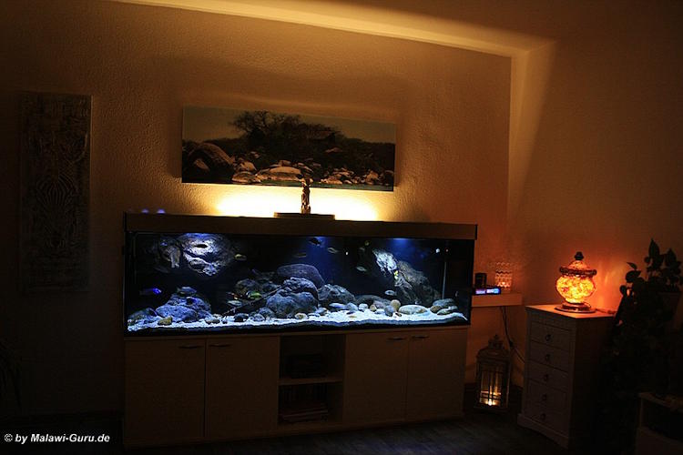 660 Liter Aquarium aus der Übergangszone
