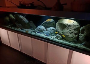 990-Liter Übergangszone-Aquarium