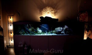 990 Liter Sandzone Aquarium