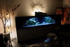 990-Liter-Sandzone/Seegras-Aquarium