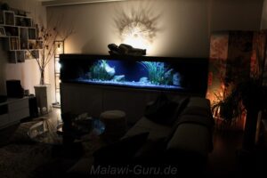 990-Liter-Sandzone/Seegras-Aquarium