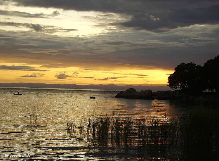 Der Malawisee