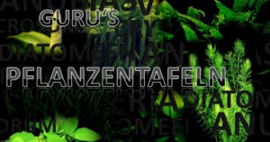 Pflanzen