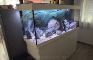 Übergangszone-Becken mit 450 Litern Übergangszone-Becken mit 450 Litern