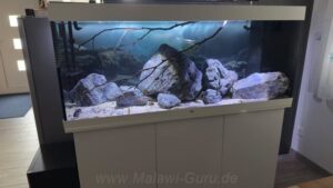Übergangszone-Becken mit 450 Litern Übergangszone-Becken mit 450 Litern
