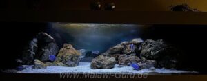 Malawisee-Aquarium mit 792-Liter