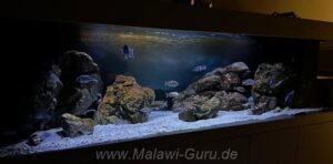 Malawisee-Aquarium mit 792-Liter