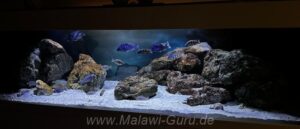 Malawisee-Aquarium mit 792-Liter
