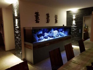 Malawisee-Aquarium mit 1080 Litern (Mbuna-Aquarium) Malawisee-Aquarium mit 1080 Litern
