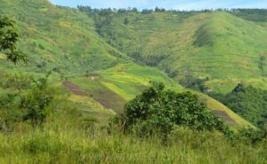 Rift Valley